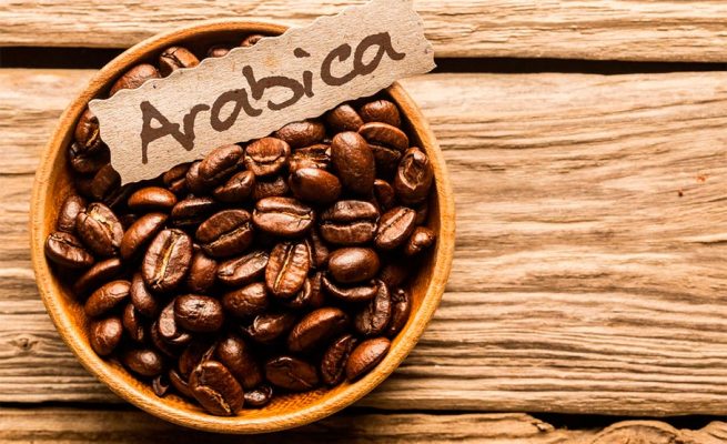All about Arabica